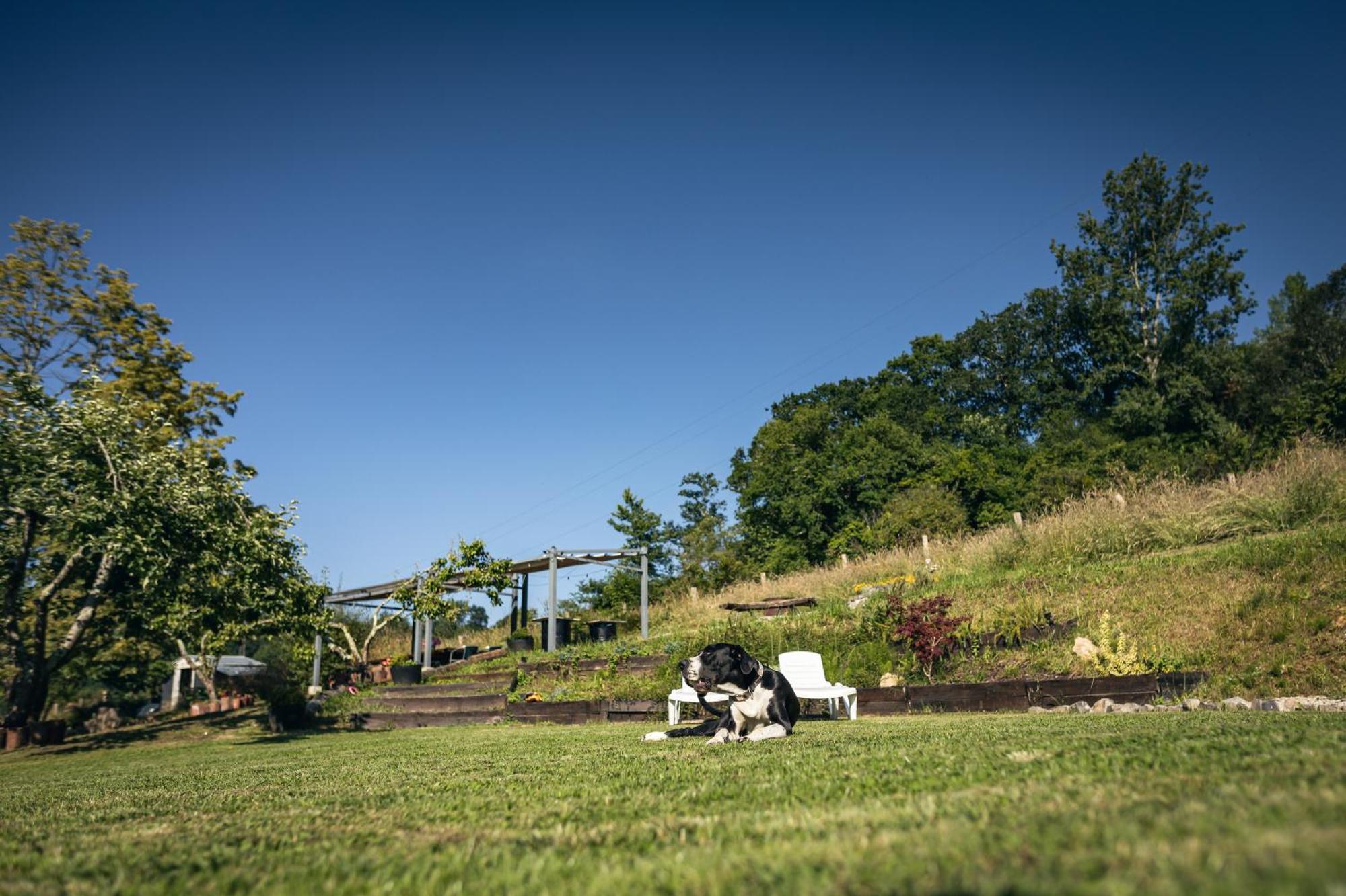 Finca La Naguada Casa Rural En Asturias Beloncio ภายนอก รูปภาพ