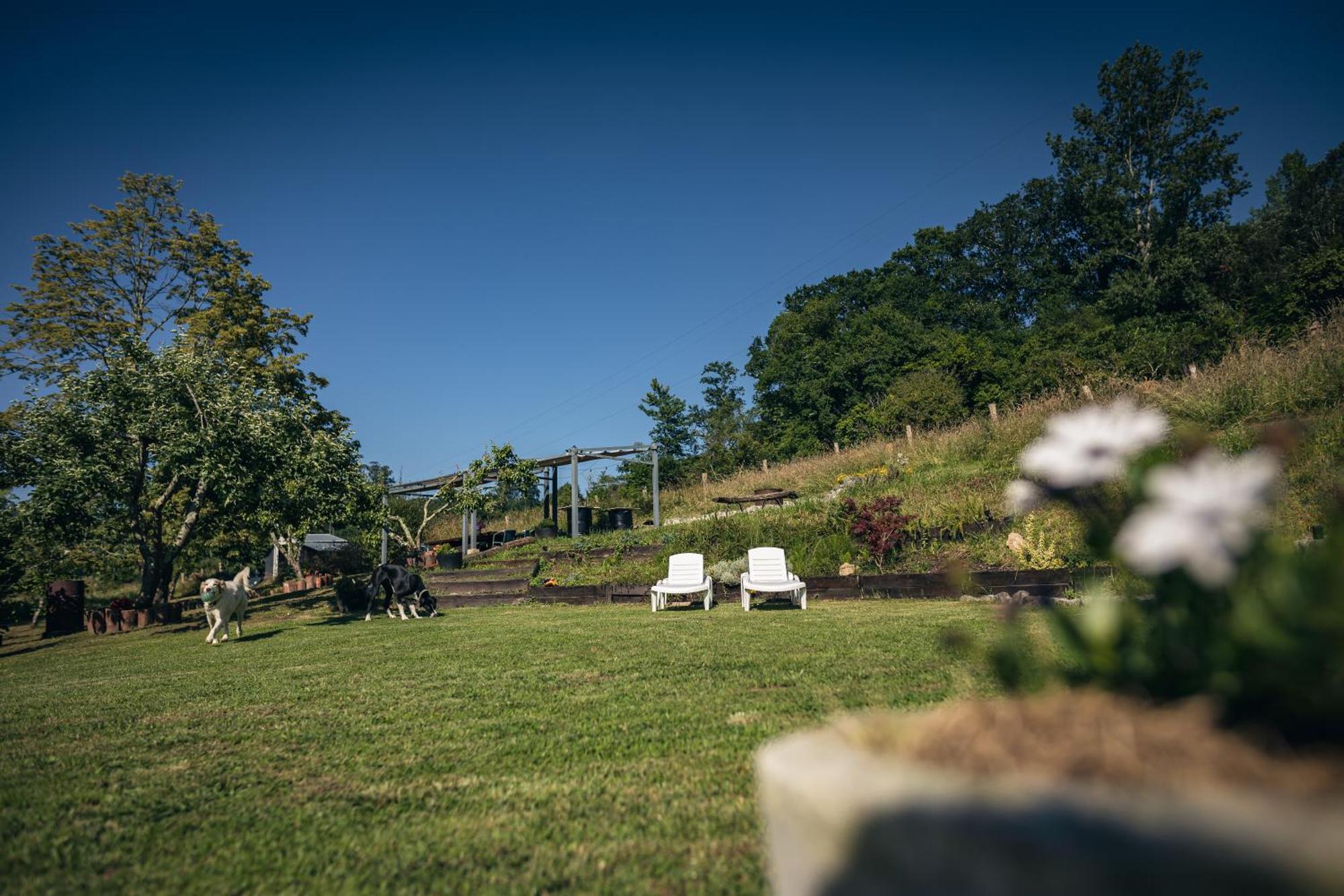 Finca La Naguada Casa Rural En Asturias Beloncio ภายนอก รูปภาพ