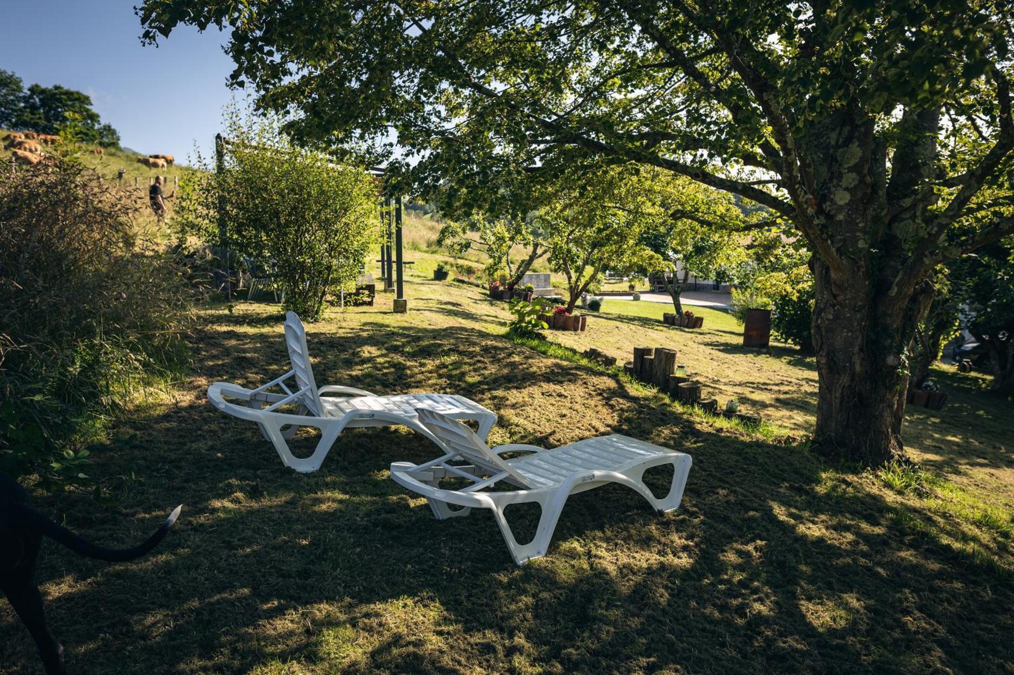 Finca La Naguada Casa Rural En Asturias Beloncio ภายนอก รูปภาพ