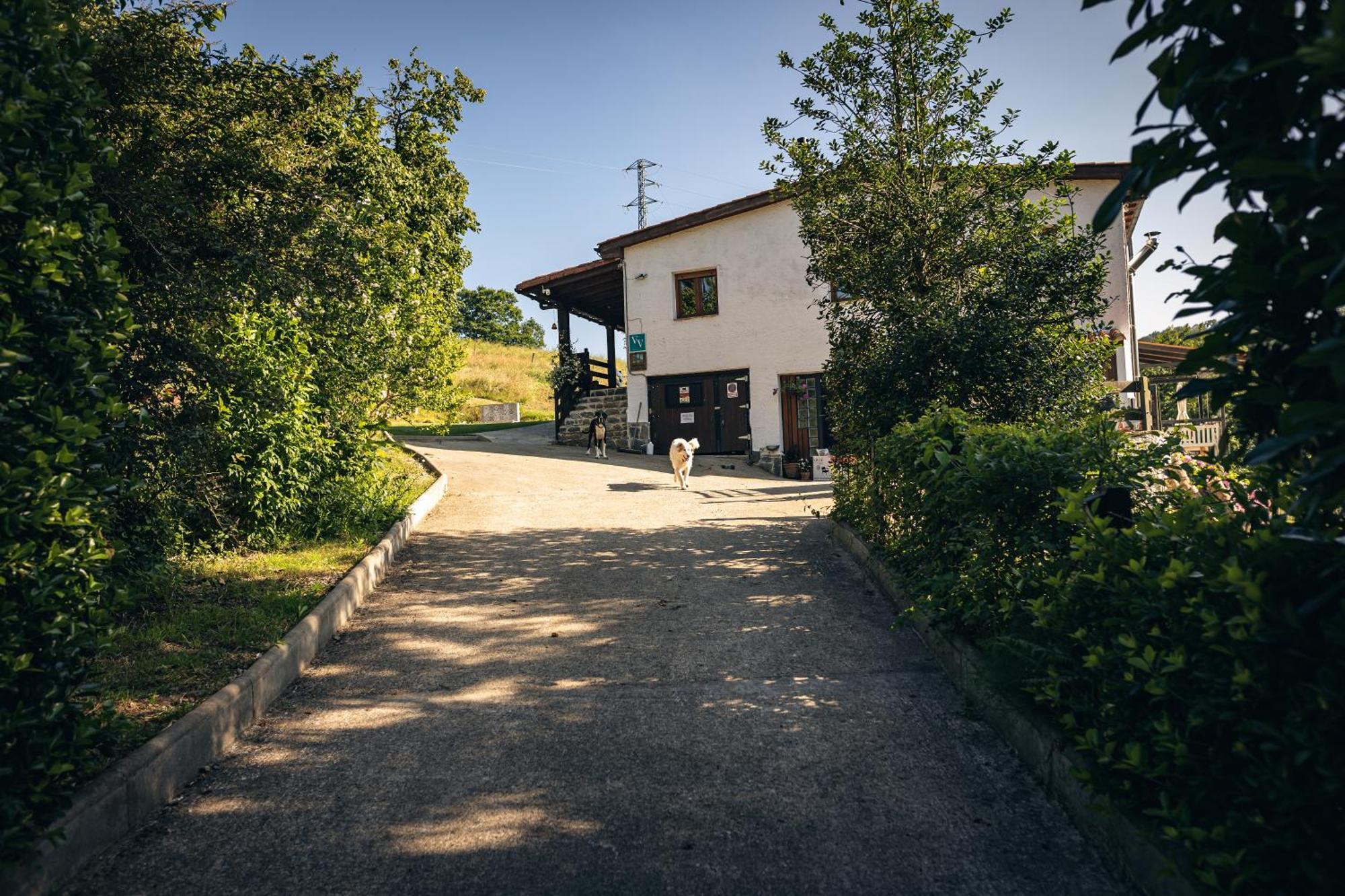 Finca La Naguada Casa Rural En Asturias Beloncio ภายนอก รูปภาพ