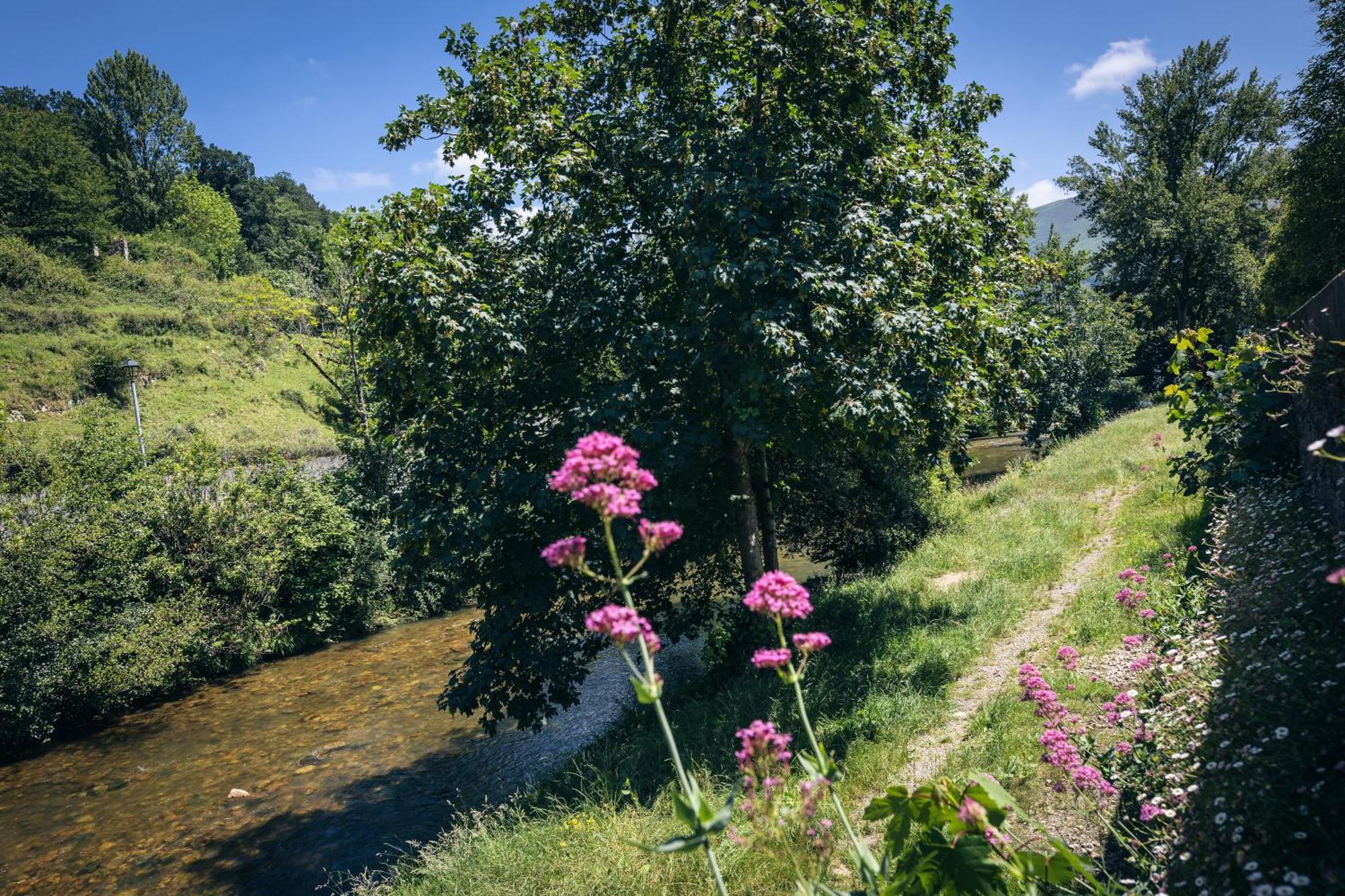 Finca La Naguada Casa Rural En Asturias Beloncio ภายนอก รูปภาพ